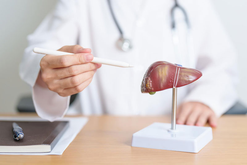 Understanding the Difference: Liver Transplantation & Liver Resection By Dr. Vivek Mangla – Senior Director, GI & HPB Surgical Oncology